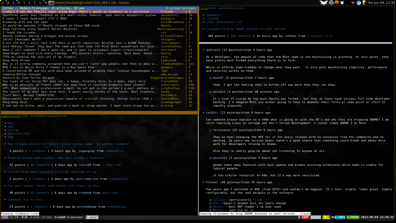 m.reddit.com rendered in w3m